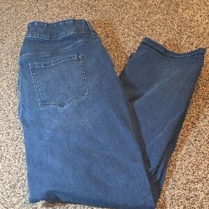 Lane Bryant Blue Straight Leg Jeans